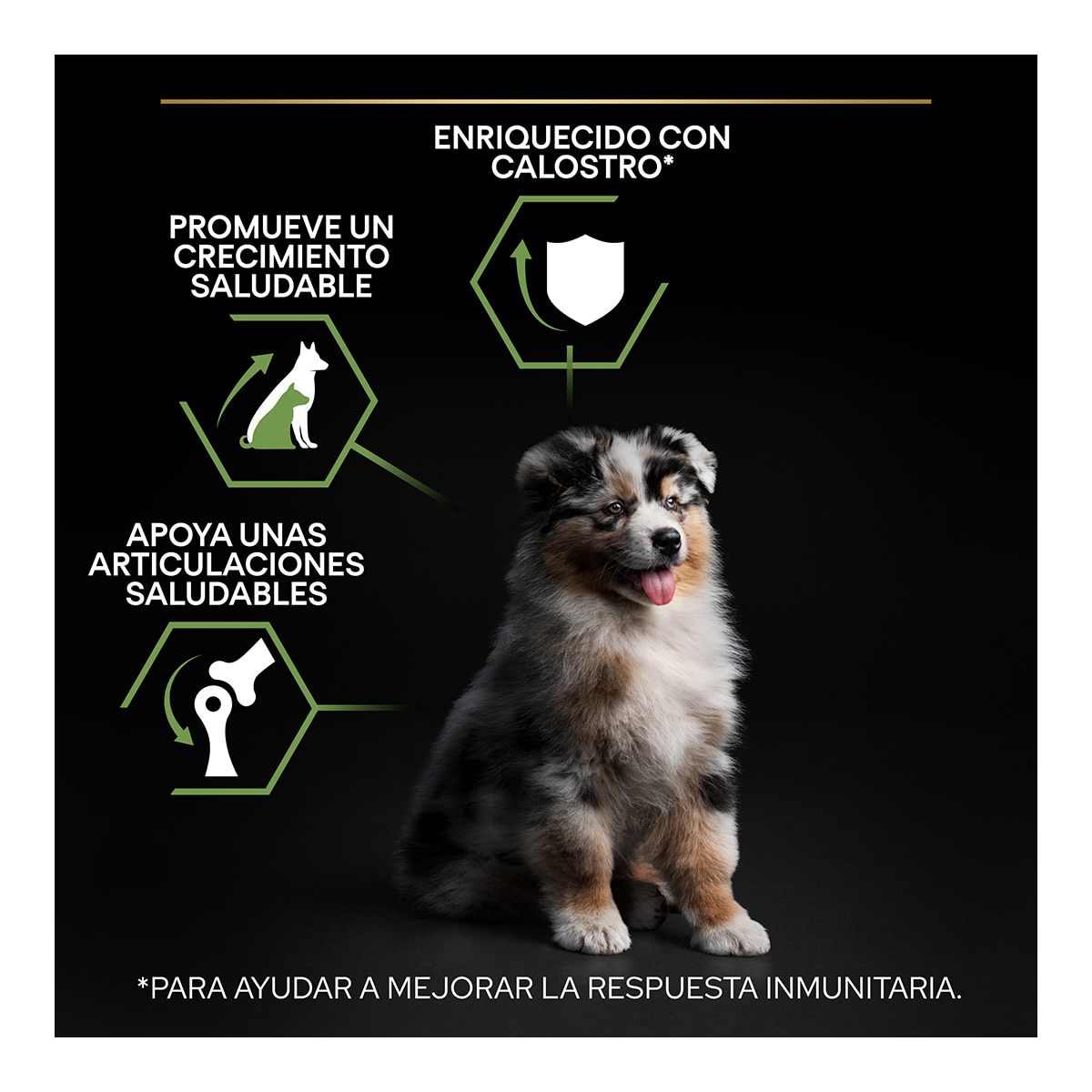 Pienso para perros cachorros medianos Pro Plan pollo 12 + 2 kg 8