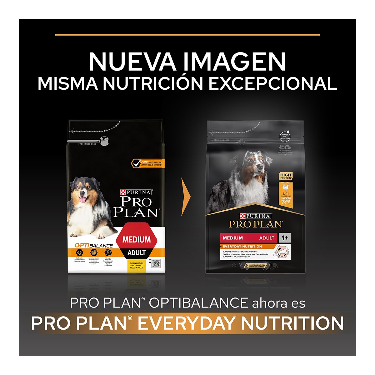 Pienso para perros adultos medianos Purina Pro Plan Everyday Nutrition pollo 6