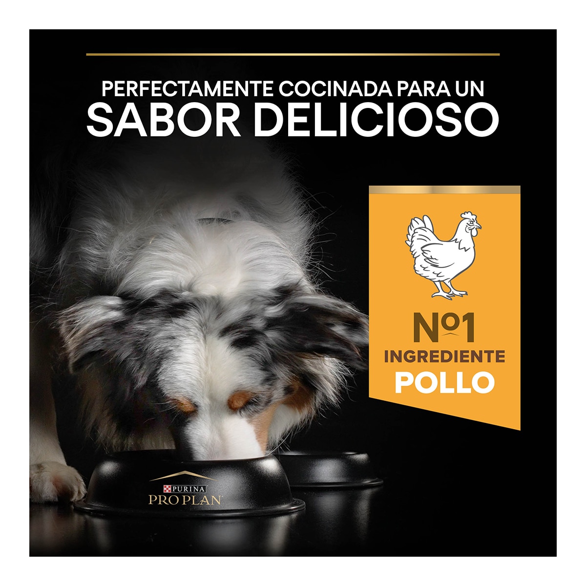Pienso para perros adultos medianos Purina Pro Plan Everyday Nutrition pollo 8