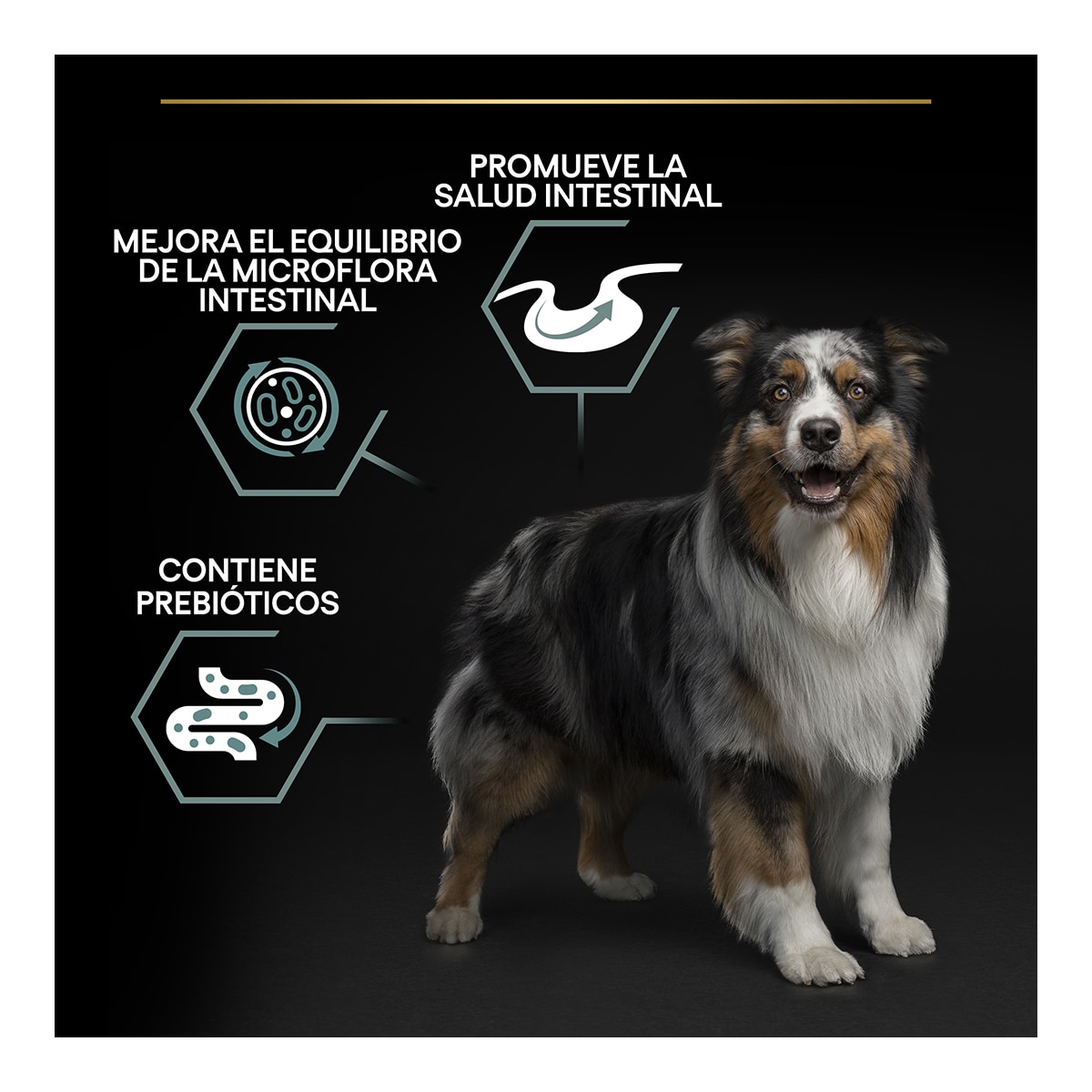 Pienso para perros adultos medianos digestión sensible Pro Plan cordero 14 + 2,5 kg 7