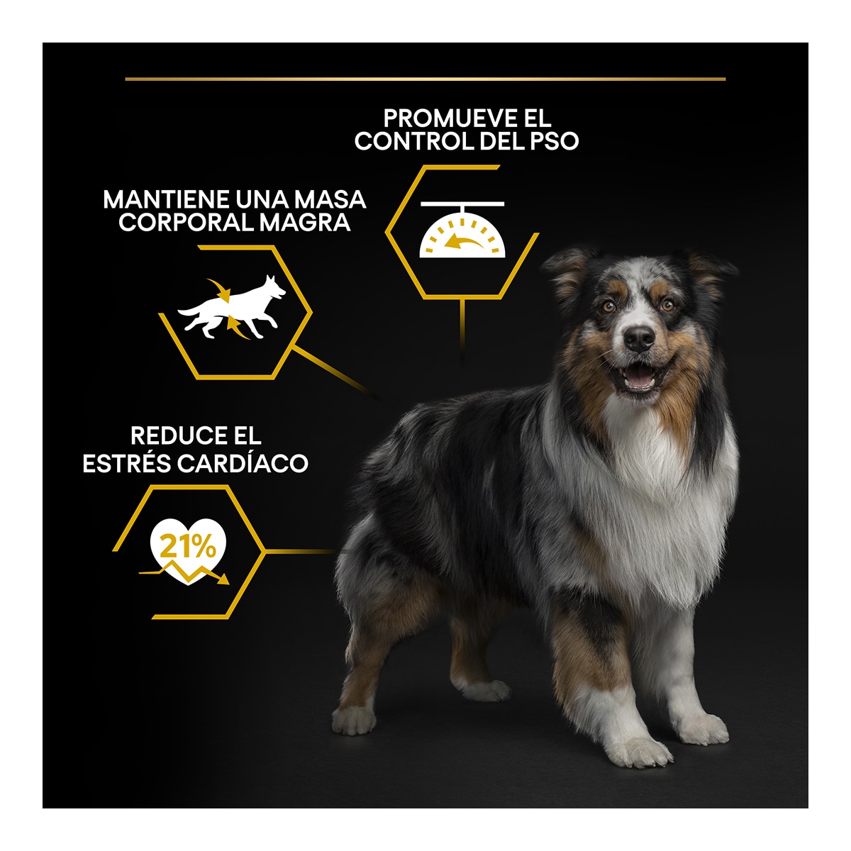 Pienso para perros adultos Purina Pro Plan Light/Sterilised 4