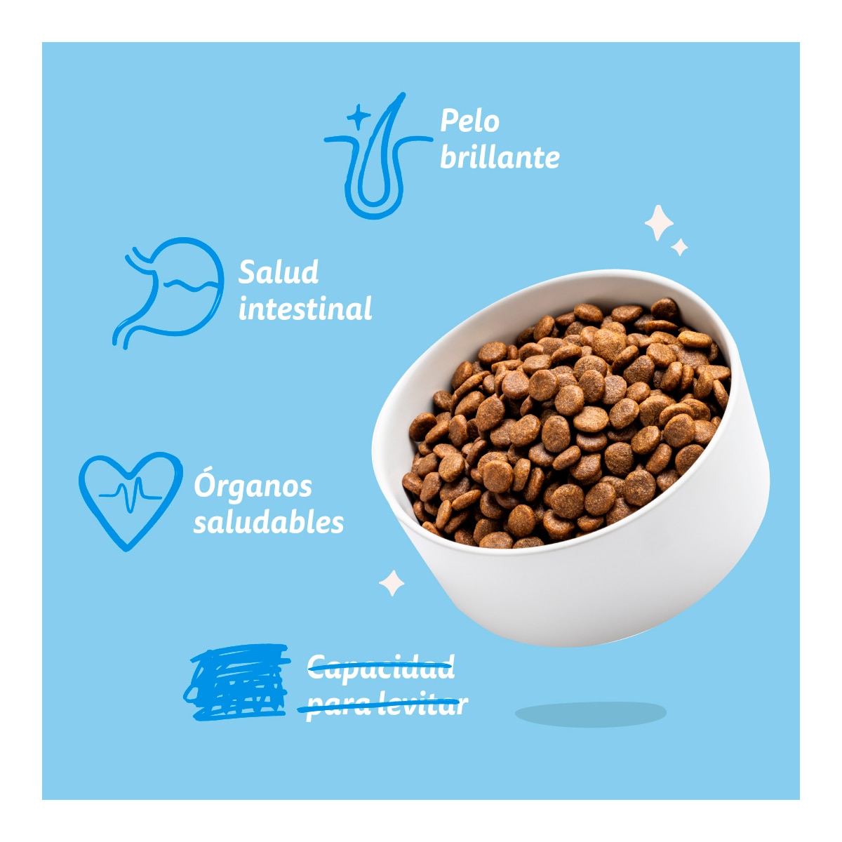 Imagen 5 de Pienso para perros adultos mini sin cereales Edgard & Cooper salmón 3 kg