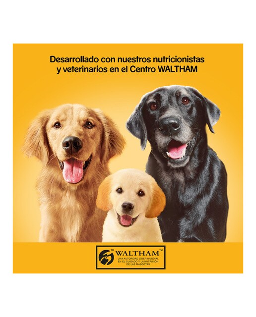 Comida húmeda para perros sénior Pedigree Tarrina paté ternera y aves 300 g 3