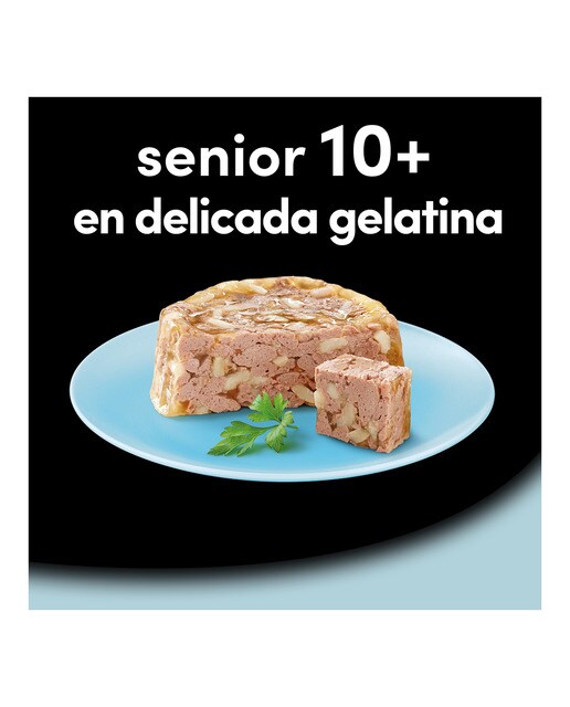 Comida húmeda para perros sénior Cesar +10 pack 4 x 150 g 2