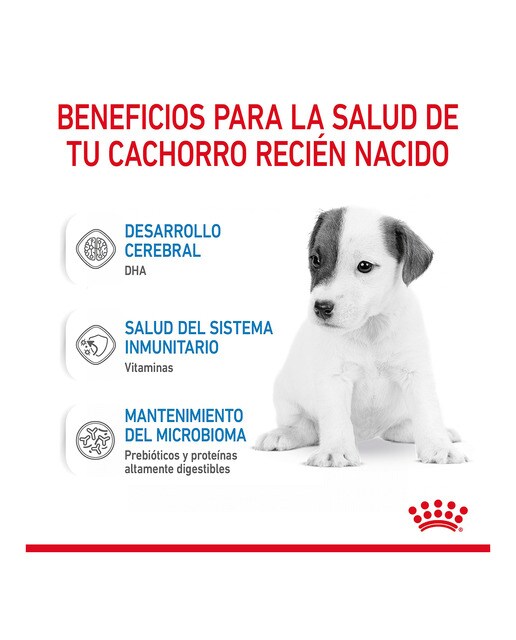 Leche para perros cachorros Royal Canin Babydog milk 400 g 6