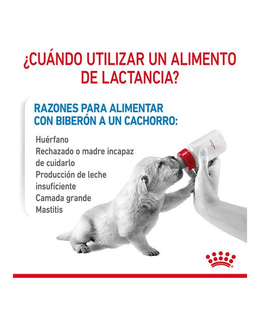 Leche para perros cachorros Royal Canin Babydog milk 400 g 8