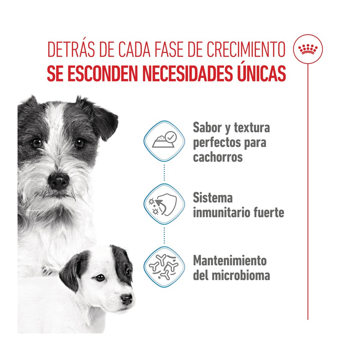 Comida húmeda para perros cachorros y madres gestantes o lactantes Royal Canin mousse 195 g 2