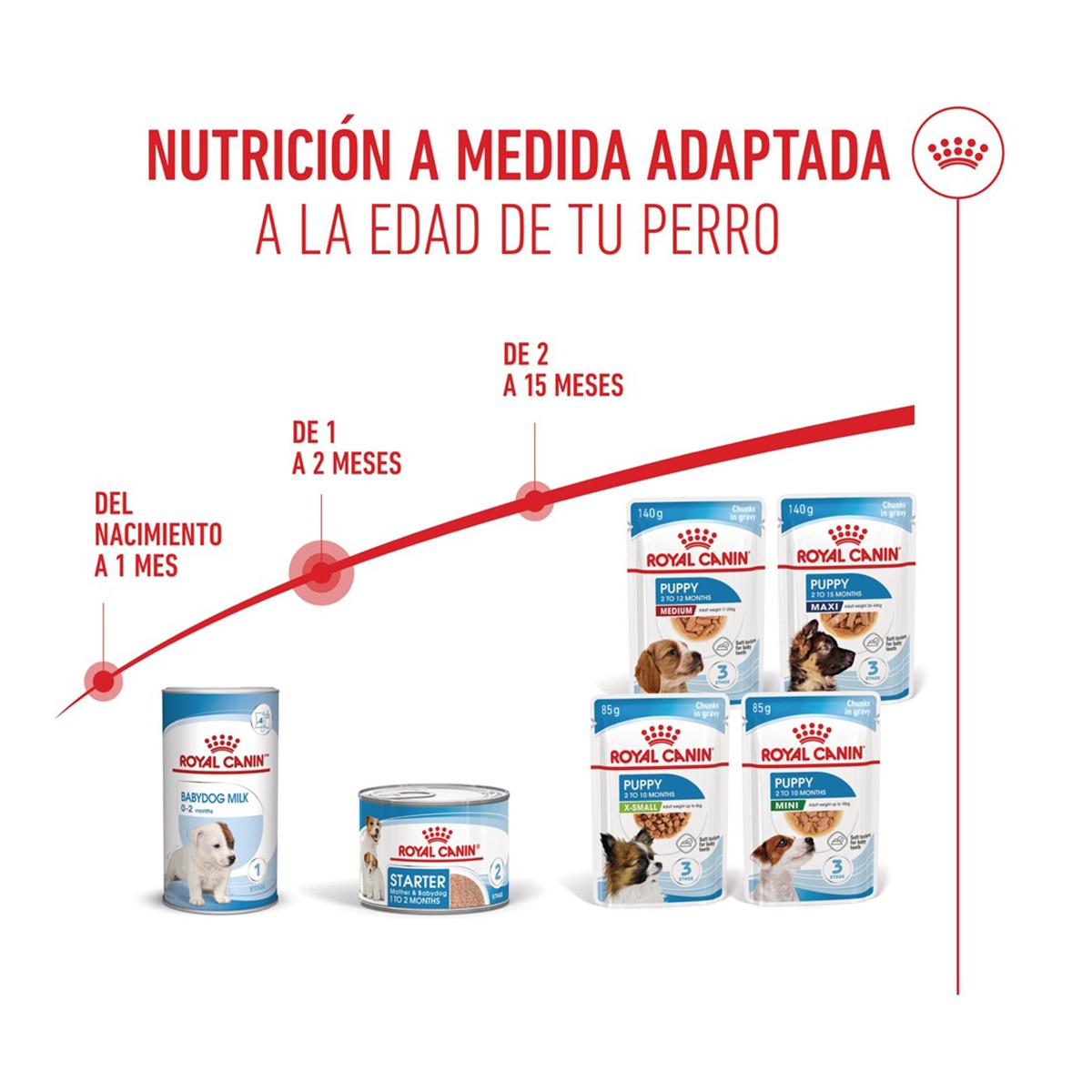 Comida húmeda para perros cachorros y madres gestantes o lactantes Royal Canin mousse 195 g 5