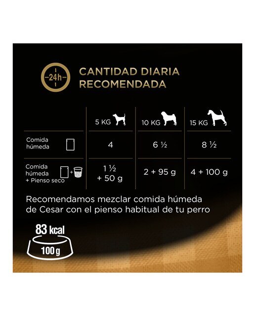 Comida húmeda para perros adultos Cesar Selección gelatina 4 x 100 g 4