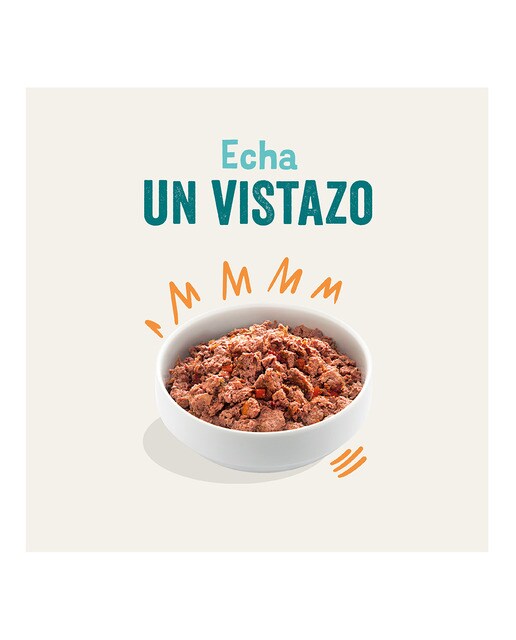 Comida húmeda para perros adultos Pequeños Medianos Grandes Edgard & Cooper paté pollo y pavo 400 g 2