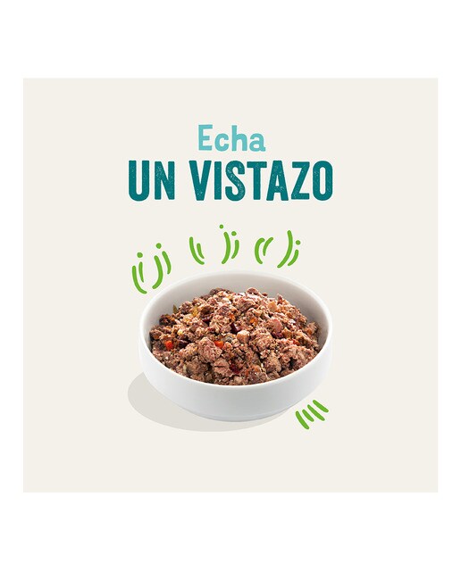 Comida húmeda para perros adultos pequeños medianos Grandes Edgard & Cooper paté cordero y vacuno 400 g 2