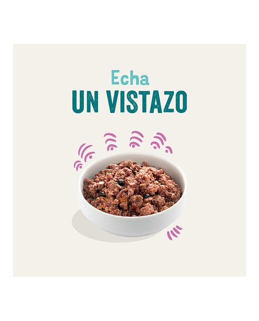 Comida húmeda para perros adultos Pequeños Medianos Grandes Edgard & Cooper venado y pato con frutas y verduras grain free paté 400 g 2