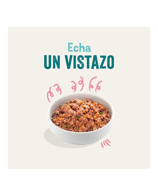 Comida húmeda para perros cachorros pequeños y medianos Grandes Edgard & Cooper paté pollo y pato 400 g 2