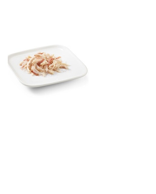 Comida húmeda para perros adultos Schesir filetes de pollo con buey en gelatina 150 g 2