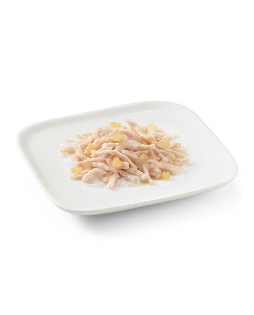 Comida húmeda para perros adultos Schesir filetes de pollo con manzana en gelatina 150 g 2