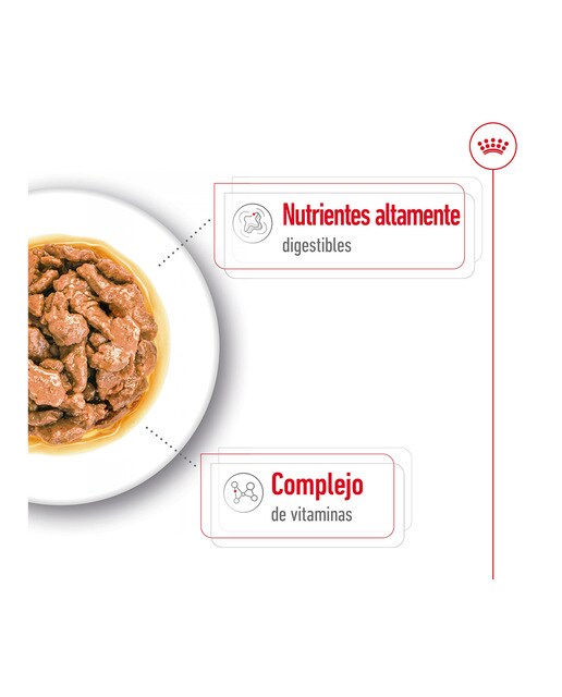 Comida húmeda para perros adultos pequeños Royal Canin en salsa 2