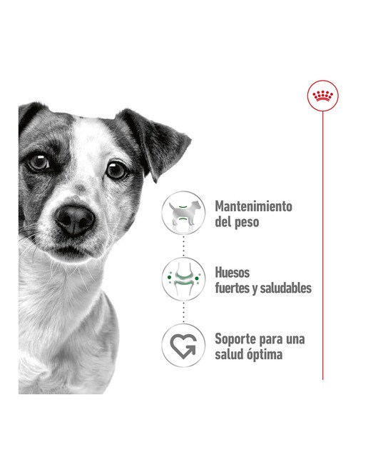 Comida húmeda para perros adultos pequeños Royal Canin en salsa 3