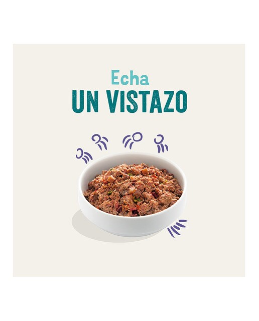 Comida húmeda para perros adultos Pequeños Medianos y Grandes Edgard & Cooper paté vacuno 400 g 2