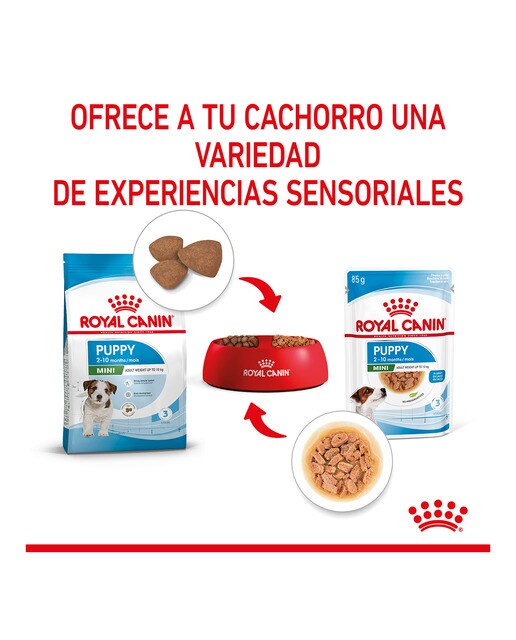 Comida húmeda para perros cachorros pequeños Royal Canin en salsa 5