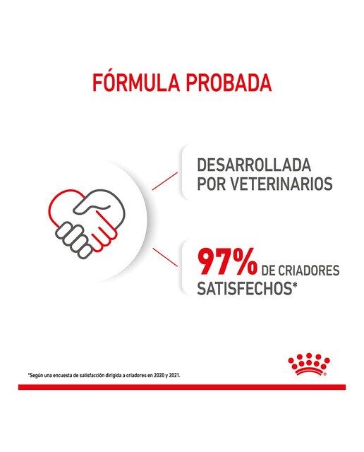 Comida húmeda para perros cachorros pequeños Royal Canin en salsa 9