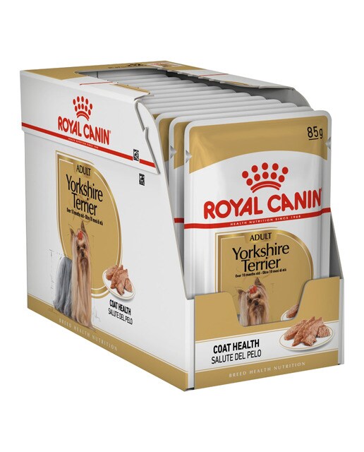 Royal Canin - Comida húmeda para perros adultos Royal Canin Yorkshire Terrier paté
