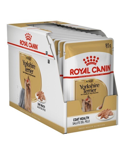Comida húmeda para perros adultos Royal Canin Yorkshire Terrier paté