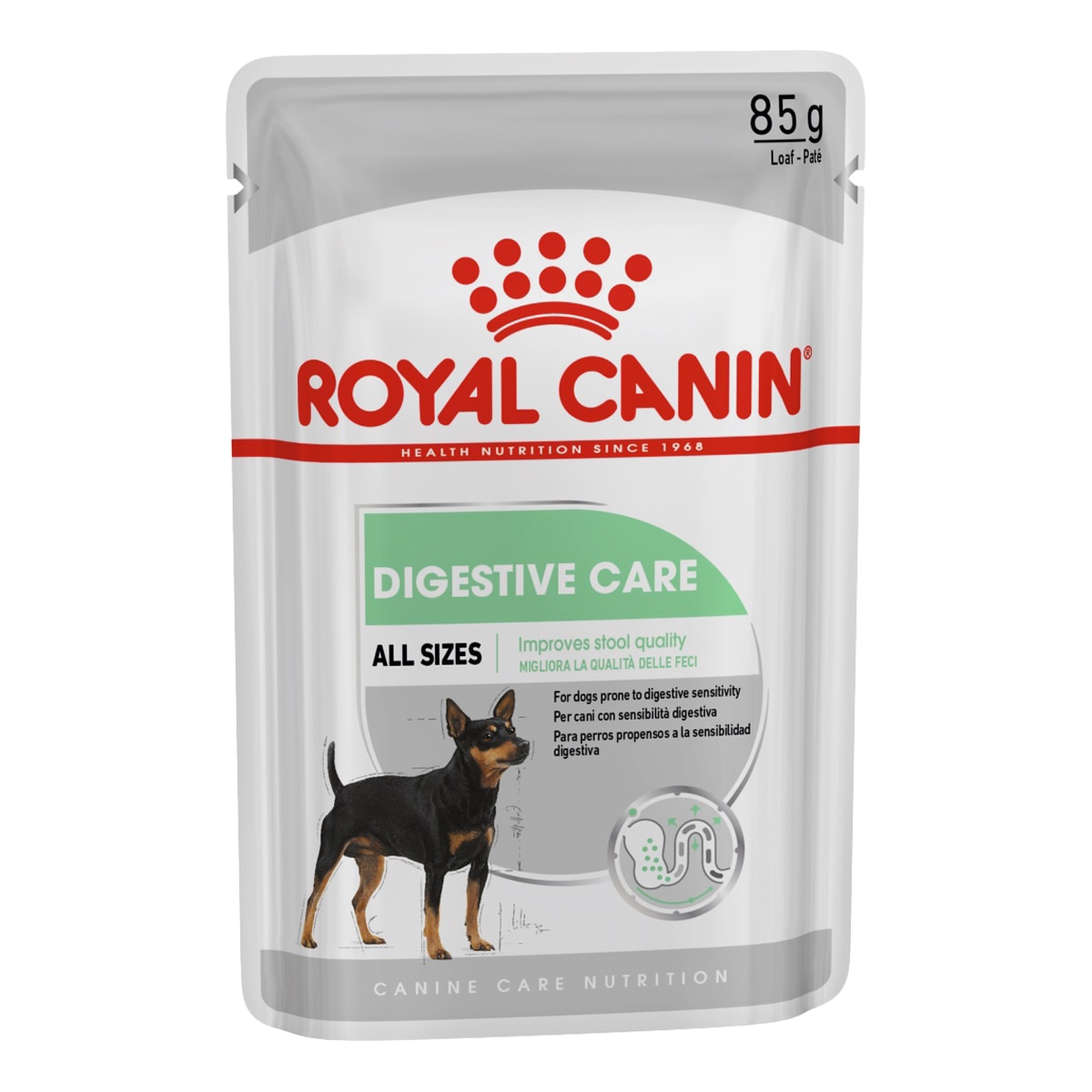 Comida húmeda para perros adultos Royal Canin Digestive Care paté 2