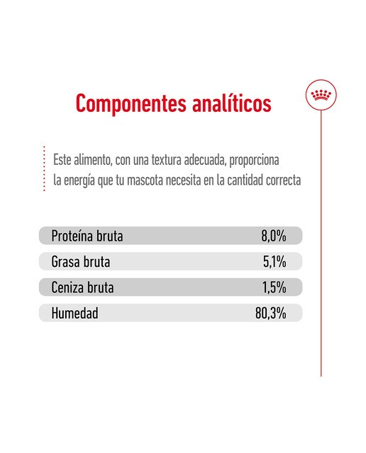 Comida húmeda para perros sénior pequeños Royal Canin Mini Ageing en salsa 5