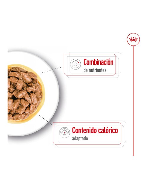 Comida húmeda para perros sénior pequeños Royal Canin Mini Ageing en salsa 7