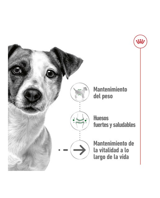 Comida húmeda para perros sénior pequeños Royal Canin Mini Ageing en salsa 8