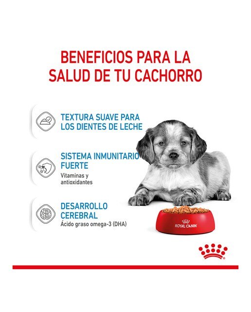 Comida húmeda para perros cachorros medianos Royal Canin en salsa 140 g 4