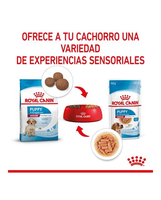 Comida húmeda para perros cachorros medianos Royal Canin en salsa 140 g 5