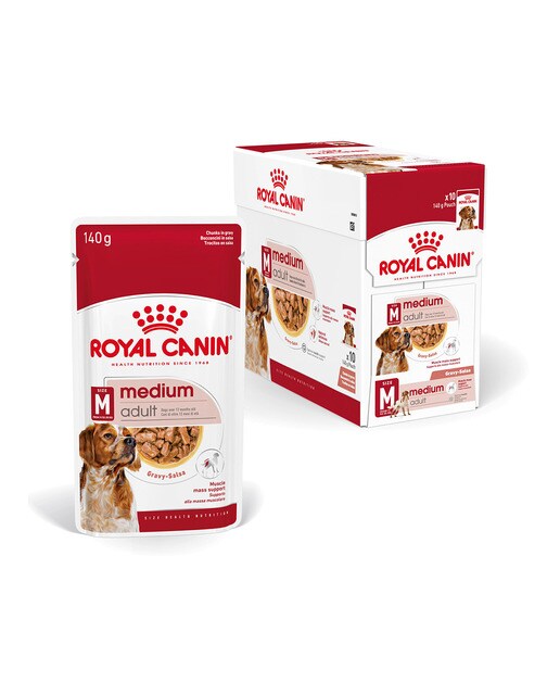Royal Canin - Comida húmeda para perros adultos medianos Royal Canin en salsa