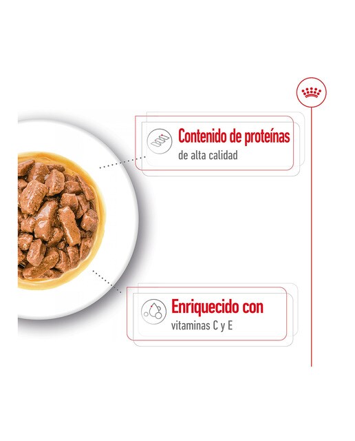 Comida húmeda para perros adultos medianos Royal Canin en salsa 7