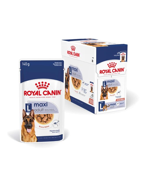 Royal Canin - Comida húmeda para perros adultos grandes Royal Canin en salsa