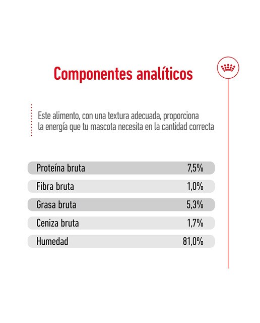 Comida húmeda para perros adultos grandes Royal Canin en salsa 6