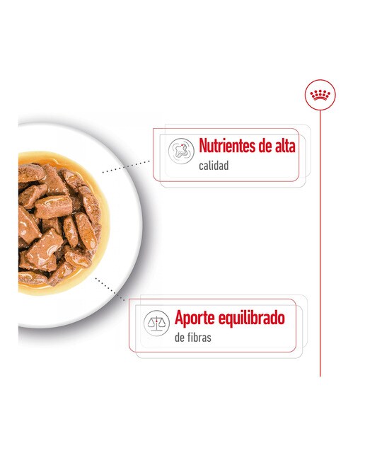Comida húmeda para perros adultos grandes Royal Canin en salsa 7