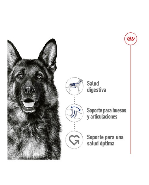 Comida húmeda para perros adultos grandes Royal Canin en salsa 8