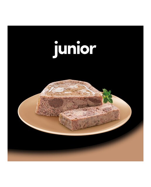 Imagen 2 de Comida húmeda para perros junior Cesar gelatina pavo y ternera 150 g