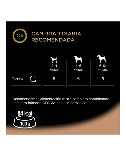 Imagen 4 de Comida húmeda para perros junior Cesar gelatina pavo y ternera 150 g