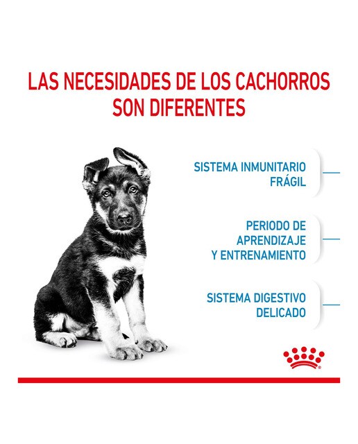 Comida húmeda para perros cachorros grandes Royal Canin en salsa 140 g 3