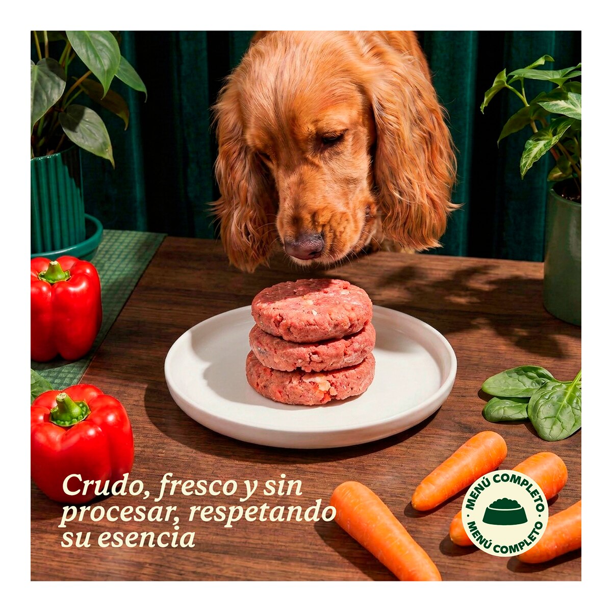 Comida húmeda para perros Wild Balance barf congelado pavo y verduras 1 kg 5