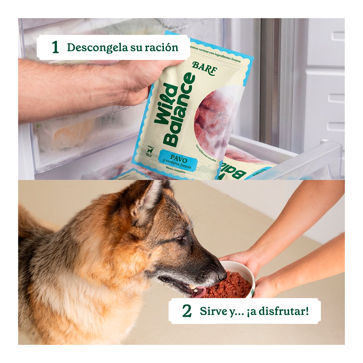 Comida húmeda para perros Wild Balance barf congelado pavo y verduras 1 kg 7