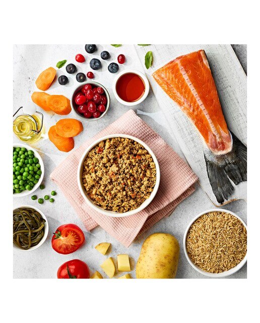 Comida húmeda para perros adultos minis Naturo salmón y arroz 150 g 3