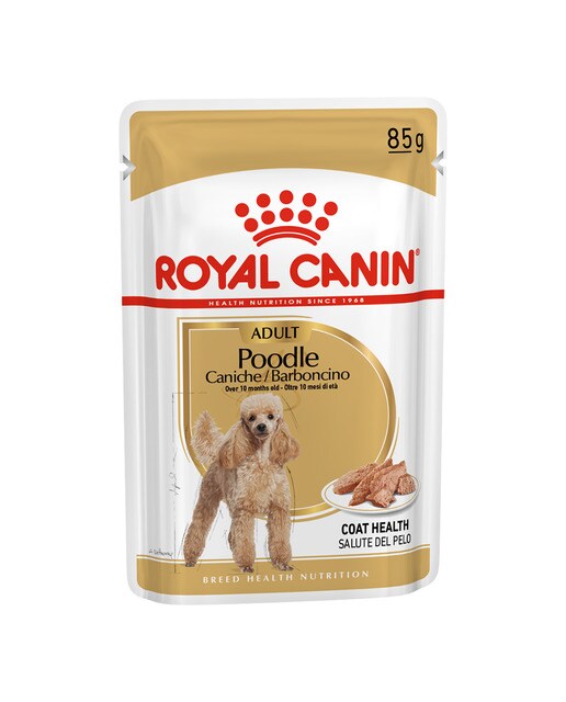 Imagen 0 de Comida húmeda para perros adultos Royal Canin Caniche paté 85 g