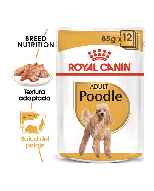 Comida húmeda para perros adultos Royal Canin Caniche paté 85 g 2