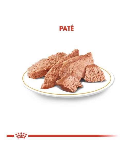 Comida húmeda para perros adultos Royal Canin Caniche paté 85 g 3