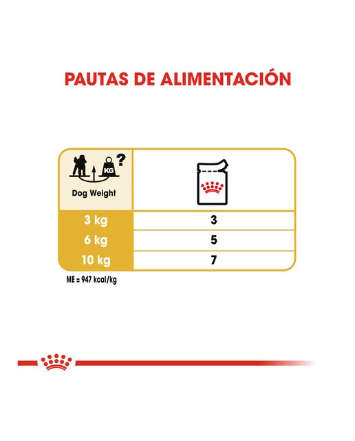 Comida húmeda para perros adultos Royal Canin Caniche paté 85 g 5