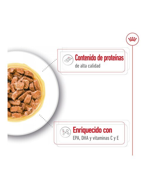 Comida húmeda para perros sénior medianos Royal Canin en salsa 10 x 140 g 6