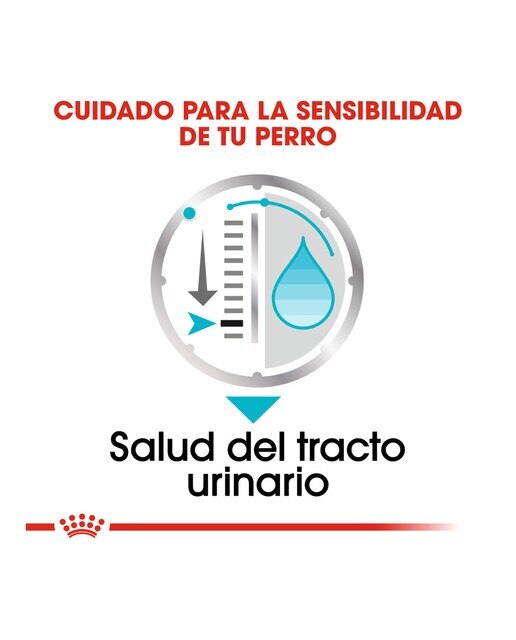 Comida húmeda para perros adultos Urinary Care 12 x 85 g 3